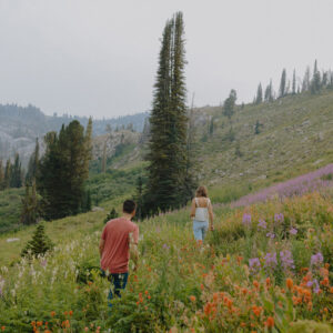 dvlop kylie morgan feels like home bo suu tap preset mau film cam giac hoai niem am ap va mo ho 5