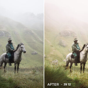 joey speers lightroom presets goi preset 12 tone mau danh cho anh phong canh 11