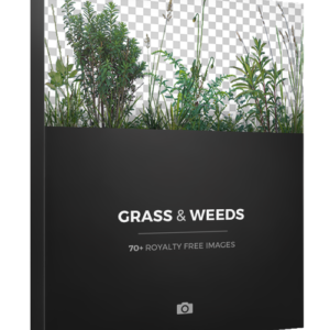 PhotoBash - Grass And Weeds – Bộ sưu tập các loại cây ven đường và cỏ dại (png)