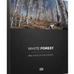 Photobash - White Forest – Bộ sưu tập khu rừng phủ đầy cây bạch dương (JPG) X69P67