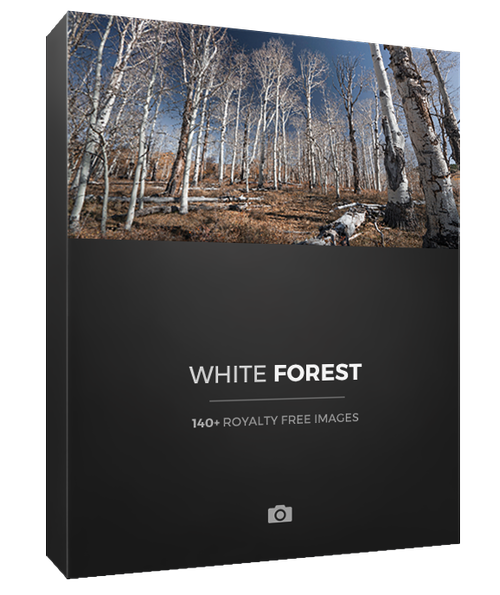 Photobash - White Forest – Bộ sưu tập khu rừng phủ đầy cây bạch dương (JPG) X69P67 1 Photobash - White Forest – Bộ sưu tập khu rừng phủ đầy cây bạch dương (JPG) X69P67