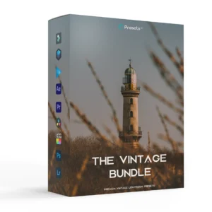 Presets.io - The Vintage Look Bundle – Bộ Sưu Tập 120 Preset Lightroom Phong Cách Cổ Điển & Luts (xmp/acr, dng, cube) B74D27