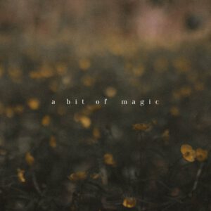 tina sosna photo preset package calm quiet lightroom desktop mobile goi preset mau film mang den su yen tinh trong tac pham cua ban 3