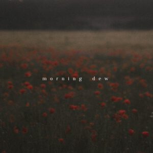 tina sosna photo preset package calm quiet lightroom desktop mobile goi preset mau film mang den su yen tinh trong tac pham cua ban 8