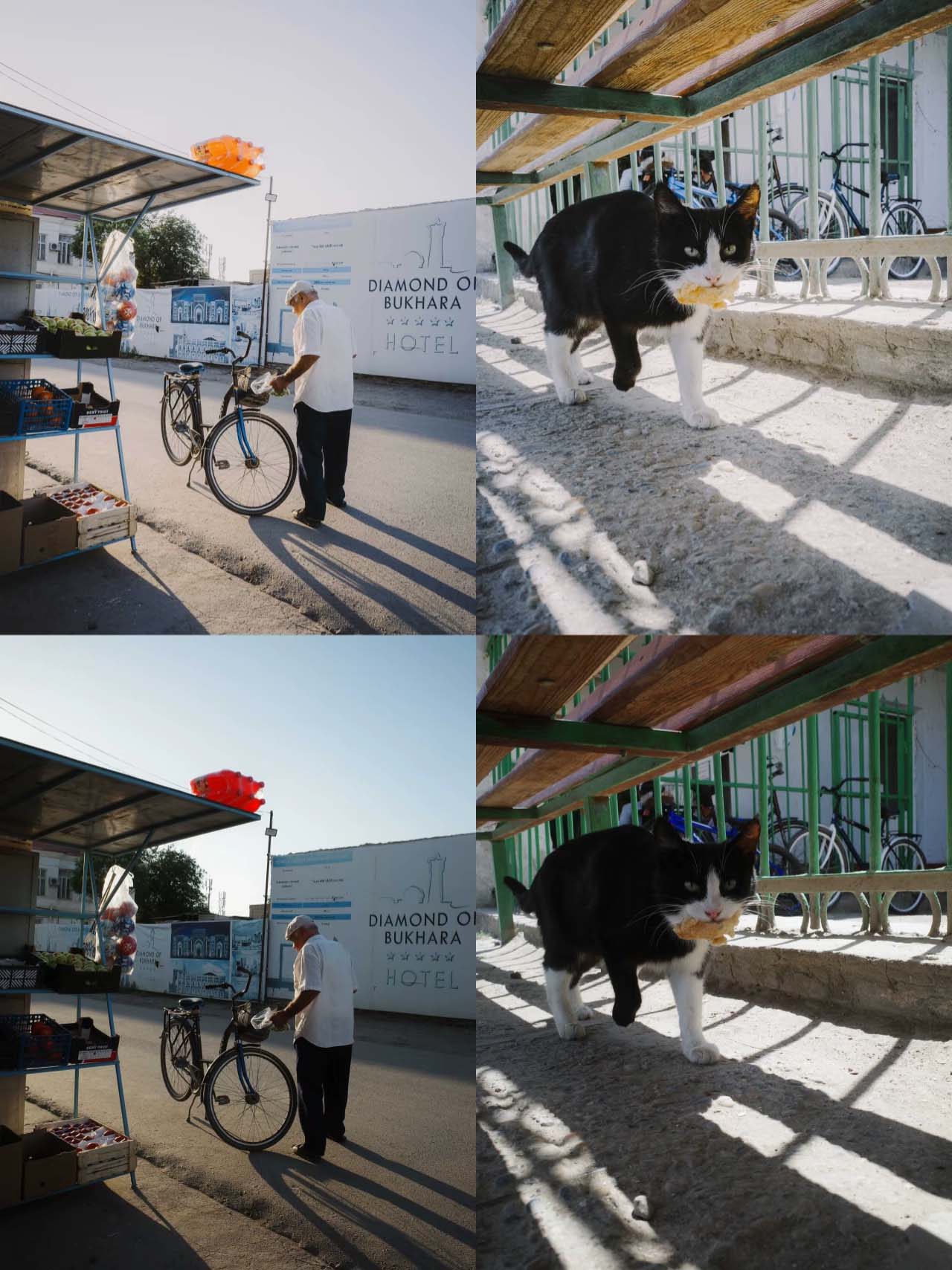 Bộ sưu tập preset film màu xanh tươi mát dành cho ảnh chân dung phong cảnh ngoài trời phong cách Trung Quốc 2025 (xmp/acr) A77X68 4 bo suu tap preset film mau xanh tuoi mat danh cho anh chan dung phong canh ngoai troi phong cach trung quoc 2025 3