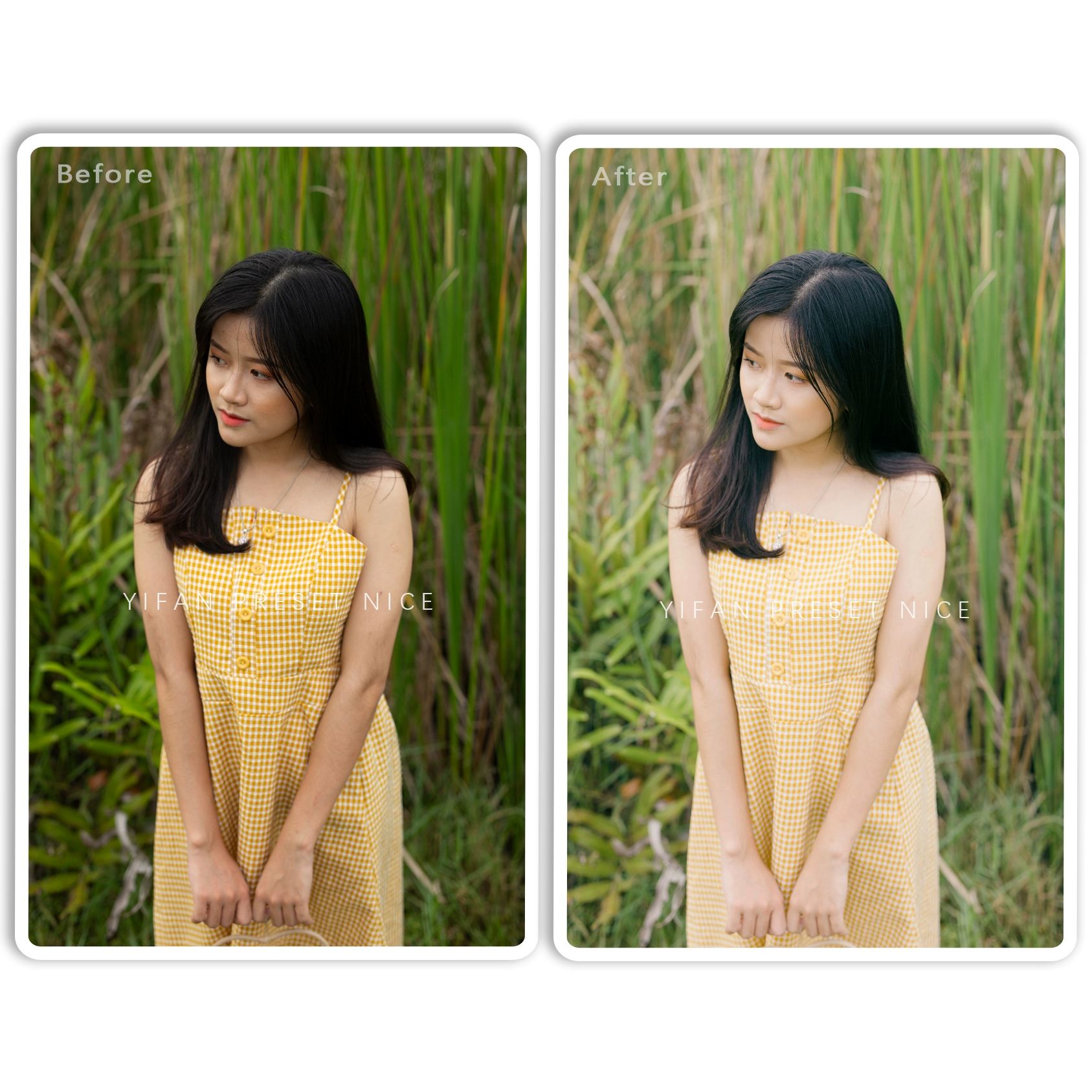 Bộ Sưu Tập Preset Màu Film Nhật Bản Dành Cho Ảnh Chân Dung Ngoài Trời 2025 (xmp/acr, dng, cube) L80R10 2 bo suu tap preset mau film nhat ban danh cho anh chan dung ngoai troi 2025 1