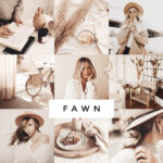 Loox - Fawn Lightroom Presets – Bộ Sưu Tập Preset Tone Màu Be Nhẹ Nhàng Mềm Mại (xmp/acr) M75B46