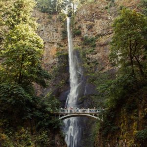 mango street lab the film emulation collection bo suu tap preset gia lap film dinh cao cua mango street presets 3