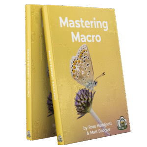 Nature TTL Mastering Macro: Nature Up-close – Cuốn Sách Gối Đầu Dành Cho Nhiếp Ảnh Macro (pdf) A82B86