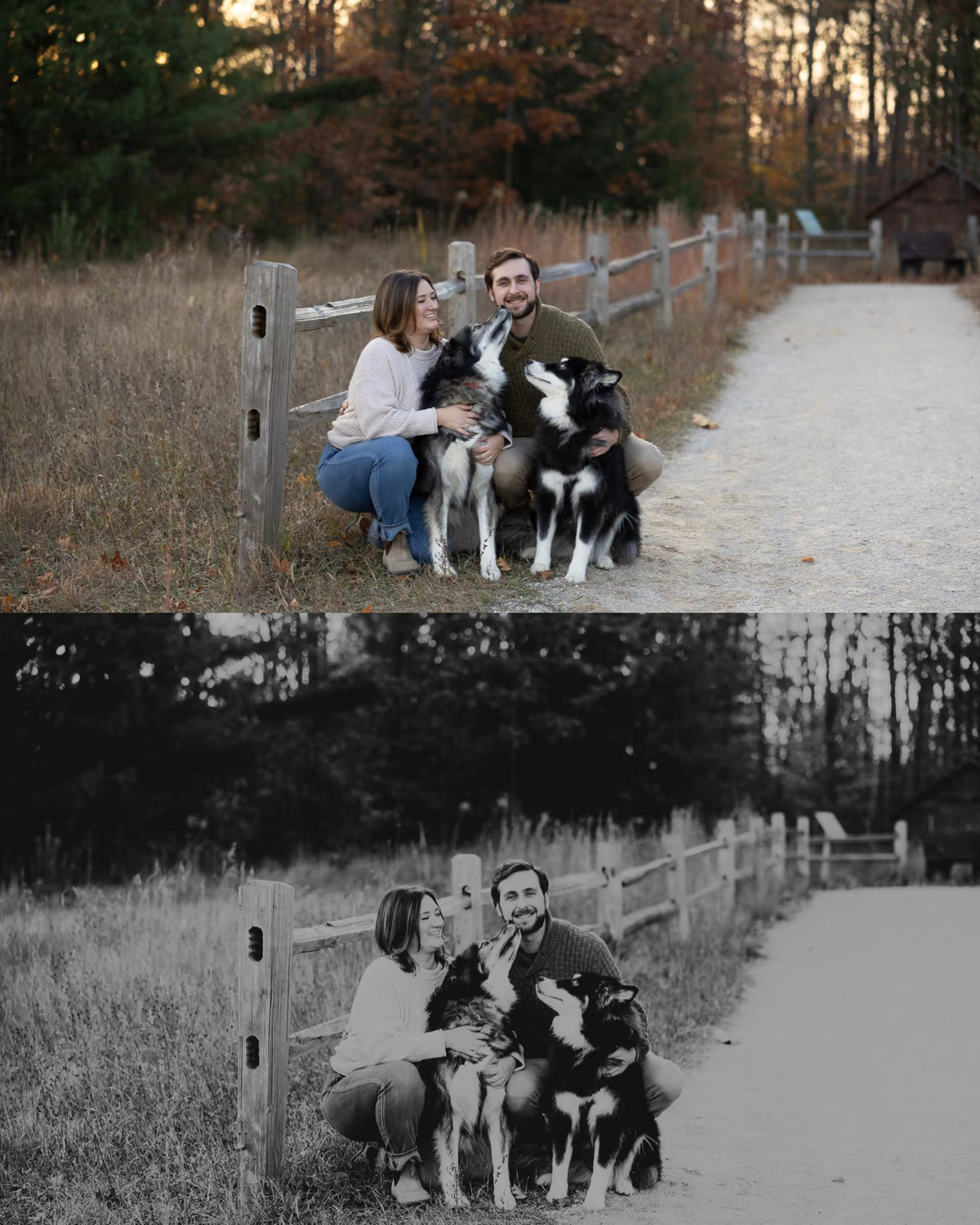 Cedar Sage - NoMi Preset Collection – Bộ sưu tập Preset lấy cảm hứng từ Great Outdoors của Bắc Michigan (xmp/acr) A86X97 2 cedar sage nomi preset collection bo suu tap preset lay cam hung tu great outdoors cua bac michigan 9