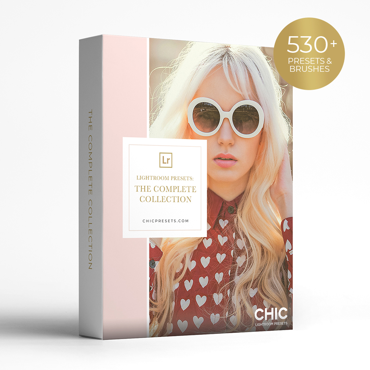 Chic Preset Bundle – The Complete Collection – Bộ sưu tập hơn 530+ Presets & Brushes dành cho Lightroom Desktop (lr) A88P09 1 Chic Preset Bundle – The Complete Collection – Bộ sưu tập hơn 530+ Presets & Brushes dành cho Lightroom Desktop (lr) A88P09