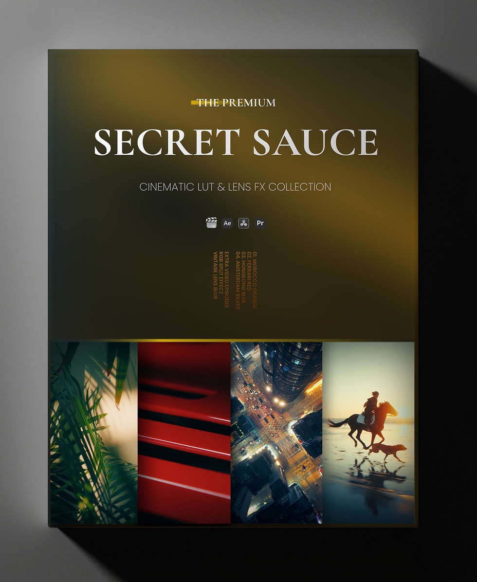 Reilín Joey – The Secret Sauce Premium – Bộ Sưu Tập LUTs Hoàn Hảo Của Reilin Joey Gói Sốt Bí Mật Mang Đến Cảnh Quay Chuyên Nghiệp và Ấn Tượng (cube) C84A67