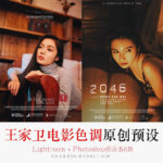 [Bản gốc Film LR Presets Kèm Raw] Bộ sưu tập Preset màu film chân dung văn học theo phong cách Hồng Kông của Vương Gia Vệ (xmp/acr, lr) A91X72