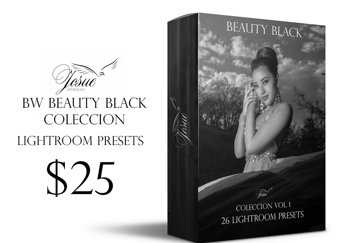 Beauty Black Lightroom Presets – Bộ sưu tập Preset màu trắng đen (lrtemplate) A94X66 1 Beauty Black Lightroom Presets – Bộ sưu tập Preset màu trắng đen (lrtemplate) A94X66