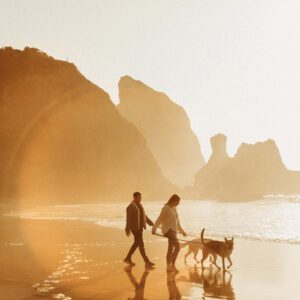 Meridian - LLFx - India Earl - Solis Presets – Bộ sưu tập Presets 25 hiệu ứng ánh sáng tự nhiên sáng tạo dành cho Nhiếp ảnh chân dung (xmp/acr) H93X51 7 meridian llfx india earl solis presets bo suu tap presets 25 hieu ung anh sang tu nhien sang tao danh cho nhiep anh chan dung 4