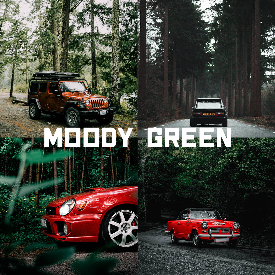 Tuner Presets - Moody Green – Bộ sưu tập Preset thiết kế đặc biệt để mang đến cho những bức ảnh ngoài trời vẻ u ám (xmp/acr) H91Z30 1 tuner presets moody green bo suu tap preset thiet ke dac biet de mang den cho nhung buc anh ngoai troi ve u am 2