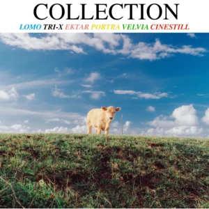 Caleb Salvadori – Film Preset Collection V7 2025 – Bộ sưu tập Preset giả lập màu film cổ điển ấn tượng chất lượng và hoàn hảo 2025 (xmp/acr, lr) C98N70