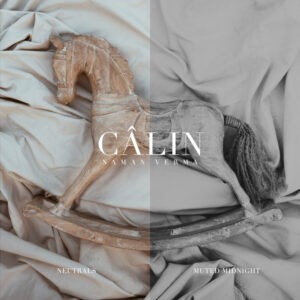 Naman Verma - Câlin Presets – Bộ sưu tập Preset mang phong cách Ấn Độ (xmp/acr) A97X10