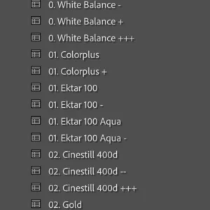 linus bergman analog pack volume ii lightroom bo suu tap preset gia lap mau film tinh te diu nhe va chan thuc 8