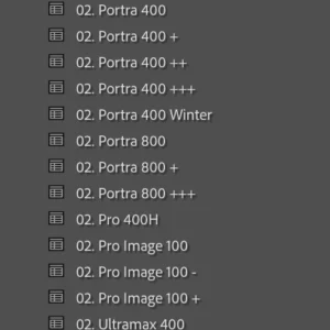 linus bergman analog pack volume ii lightroom bo suu tap preset gia lap mau film tinh te diu nhe va chan thuc 9
