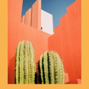 Linus Bergman - Analog Presets — Bộ sưu tập Preset Lightroom phim Analog (xmp/acr) A99X71