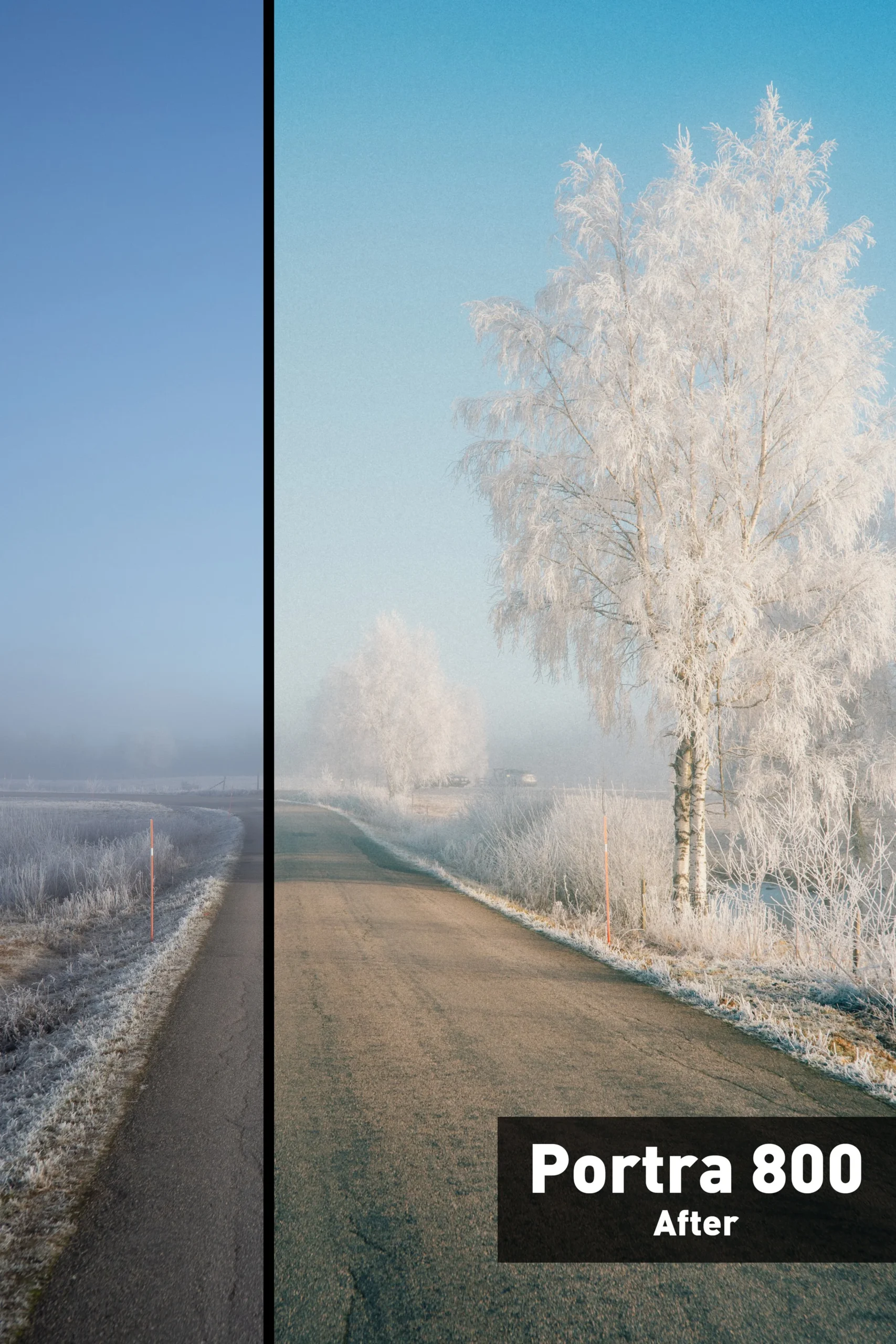 Linus Bergman – The Analog Bundle - Lightroom — Bộ sưu tập Preset Lightroom phim Analog 2025 (xmp/acr) E100B01 2 linus bergman analog presets bo suu tap preset lightroom phim analog 7 scaled