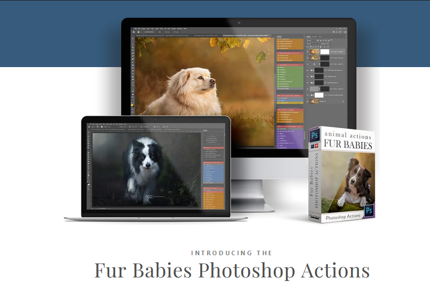 LSP Actions - Fur Babies V3 — Bộ sưu tập Actions Fur Babies biến hình ảnh động vật của bạn thành những tác phẩm nghệ thuật hoàn hảo (atn) A103X04 1 LSP Actions - Fur Babies V3 — Bộ sưu tập Actions Fur Babies biến hình ảnh động vật của bạn thành những tác phẩm nghệ thuật hoàn hảo (atn) A103X04