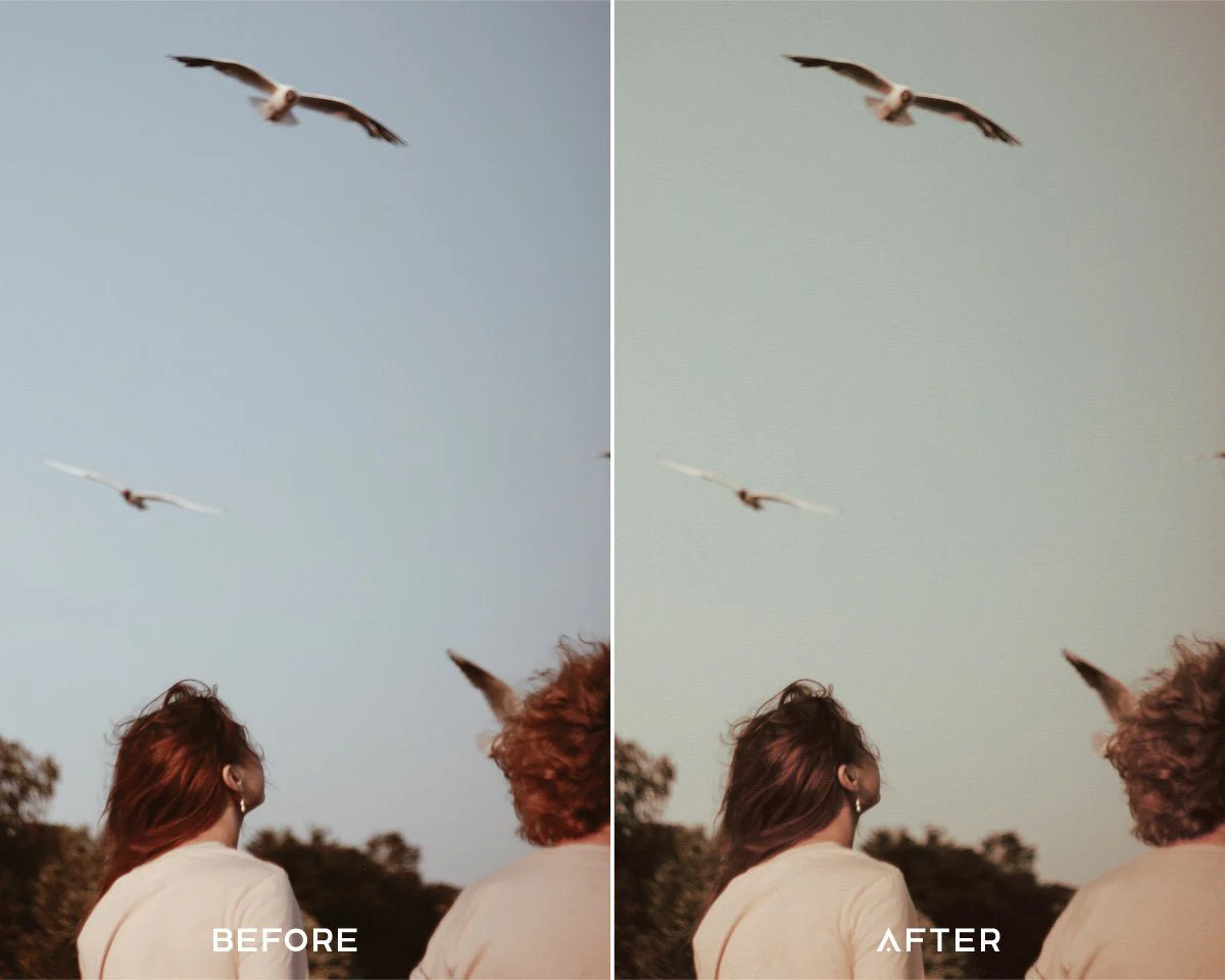 Presets.io - 35MM Preset Collection — Bộ sưu tập Preset & LUTs 35mm film màu điện ảnh ấn tượng của Presets.io (xmp/acr, cube, lr, dng) F100G20 5 presets io 35mm preset collection bo suu tap preset 35mm film mau dien anh an tuong cua presets io 0