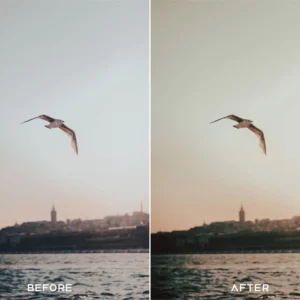 Presets.io - 35MM Preset Collection — Bộ sưu tập Preset & LUTs 35mm film màu điện ảnh ấn tượng của Presets.io (xmp/acr, cube, lr, dng) F100G20 7 presets io 35mm preset collection bo suu tap preset 35mm film mau dien anh an tuong cua presets io 2