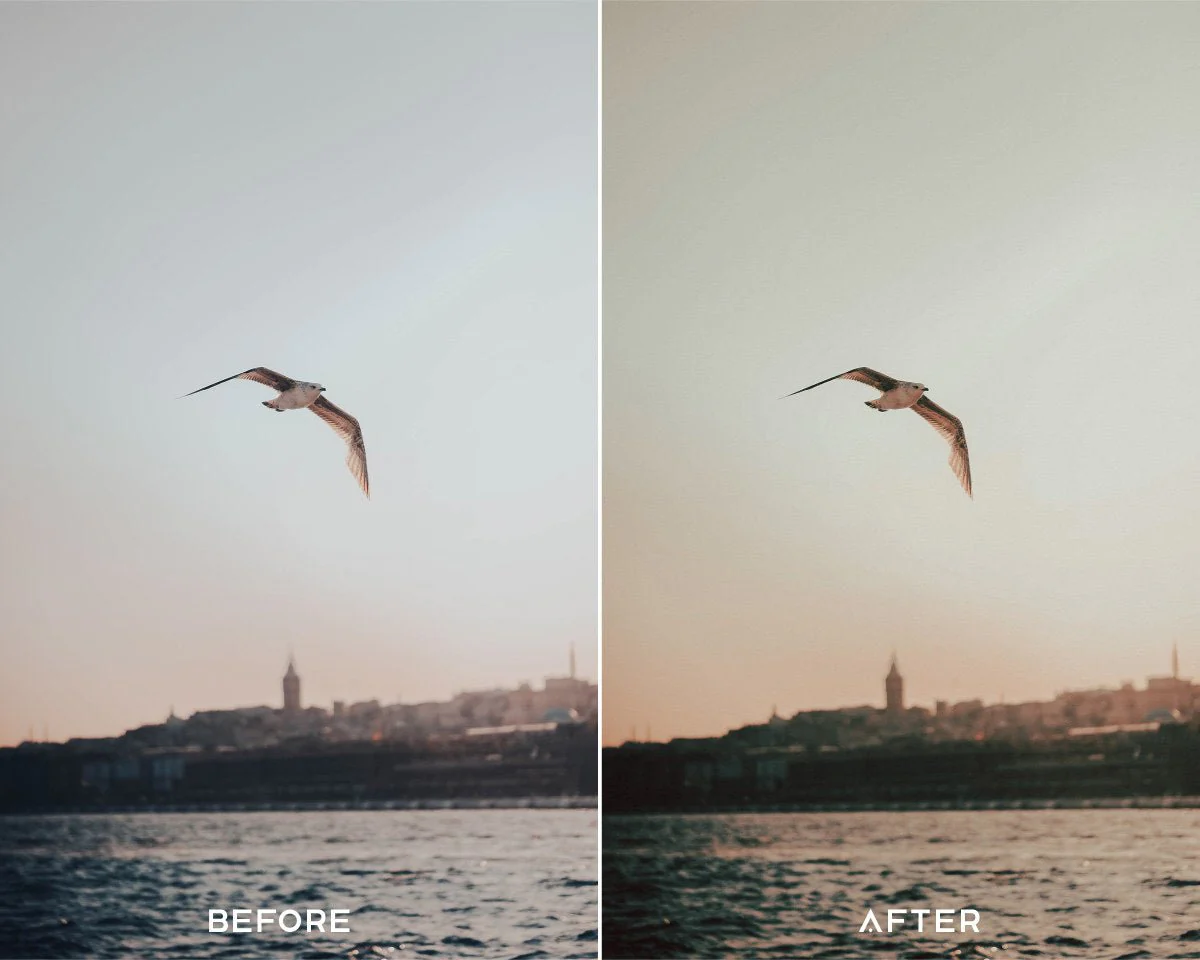 Presets.io - 35MM Preset Collection — Bộ sưu tập Preset & LUTs 35mm film màu điện ảnh ấn tượng của Presets.io (xmp/acr, cube, lr, dng) F100G20 3 presets io 35mm preset collection bo suu tap preset 35mm film mau dien anh an tuong cua presets io 2