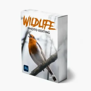 Zenzcourses - Wildlife Portrait Editing by Zenja Gammer — Khóa học chỉnh sửa ảnh chân dung động vật hoang dã (mp4) L102Z99