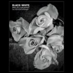 Black+White Photography - Issue 306 — Nhiếp ảnh đen trắng - Số 306 (pdf) L105D58