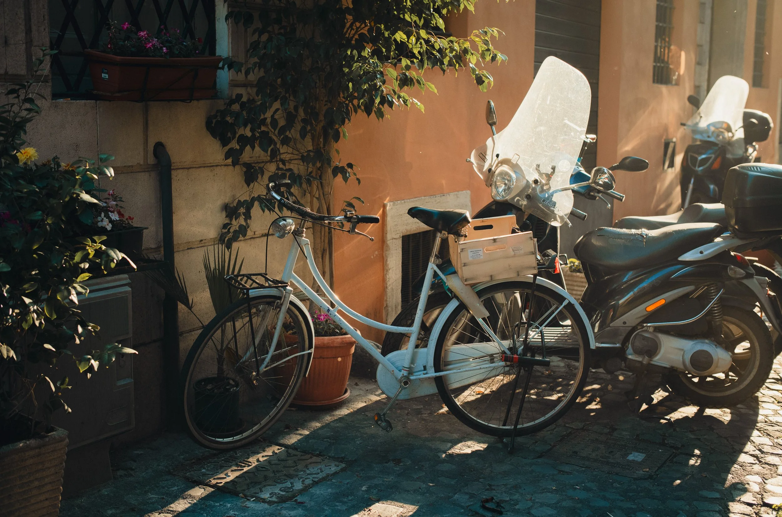 Very Good Presets (VGP) - Jupiter Cinema — Bộ sưu tập Preset màu Film Leica điện ảnh ấm áp đẹp mê mẩn của Very Good Presets (xmp/acr, dng) A108I22