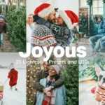 Joyous Lightroom Presets and LUTs — Bộ sưu tập Preset Lightroom và LUTs giáng sinh 2026 (cube, xmp/acr) C113D80