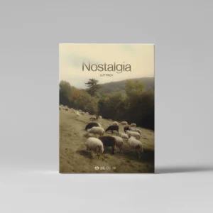 Julian Papis – Nostalgia LUT Pack — Gói LUTs mang màu sắc Vintage hoài niệm (cube) L110U25
