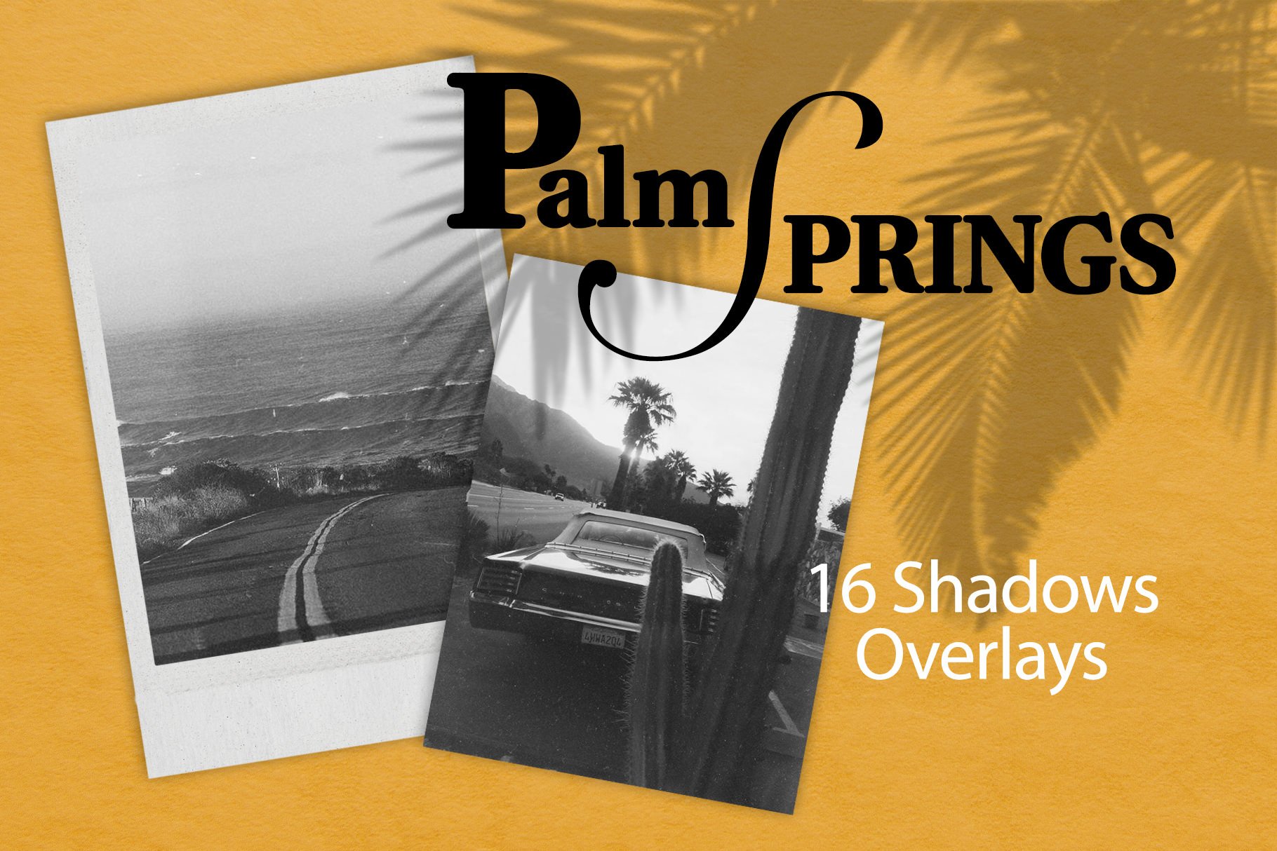 El Oasis Market - Palm Spring Shadow Overlays — Gói Overlays hiệu ứng bóng đổ huyền ảo ở Palm Springs (png) P117G50 1 El Oasis Market - Palm Spring Shadow Overlays — Gói Overlays hiệu ứng bóng đổ huyền ảo ở Palm Springs (png) P117G50