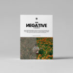 Loris Marie Negative Powergrade ( Davinci Resolve ) — Gói LUTs Màu Kodak 5219 Huyền Thoại Tự Nhiên Chân Thực Như Các Bộ Film Hollywood Kinh Điển (cube, drx, dpx) X118T86