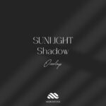 Microstock - 500 Sunlight Shadow Overlays — Bộ sưu tập 500 Lớp phủ bóng ánh sáng mặt trời (JPG) O117V63
