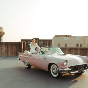 Reverie + Oak Profiles Presets + Brushes — Gói Presets & Brushes Màu Ấm Áp Dành Cho Nhiếp Ảnh Cưới (xmp/acr, lr) X117Y43