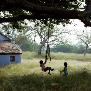 Cobalt Image - Elite Kodak  — Gói Preset Mô phỏng Film Kodak Elite hoàn hảo (xmp/acr) R128T55