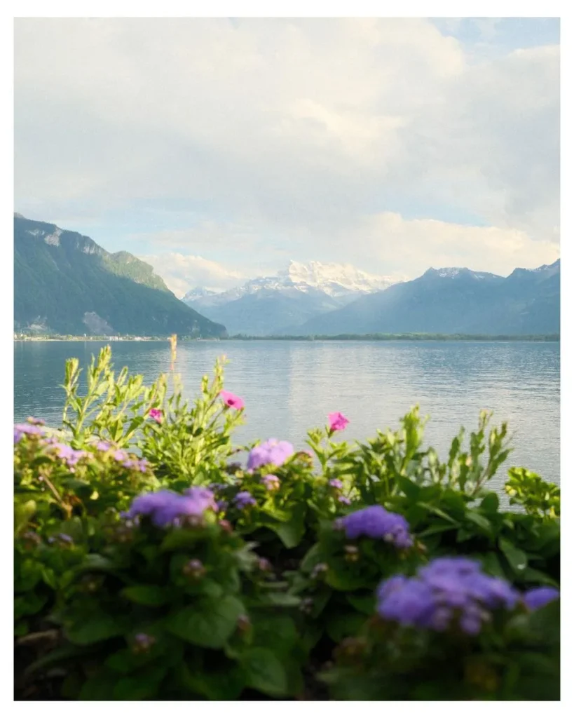 cong thuc mau film cuban danh cho cac may fujifilm 6