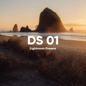 Dylan Spitz - DS PRESETS 01 — Bộ Preset Lightroom Màu Film Của Dylan Spitz (xmp/acr) E125D45