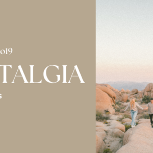 Tell The Birds Nostalgia Presets — Bộ sưu tập Preset màu phim cổ điển độc đáo (xmp/acr) R125X66