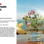 Adobe Lightroom Classic 2026 [Windows] E129X85