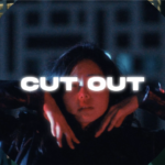 Cut Out Transitions For Davinci — Hiệu ứng chuyển cảnh Cut Out dành cho Davinci (drfx) D130X18