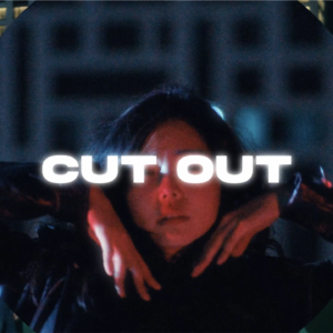 Cut Out Transitions For Davinci — Hiệu ứng chuyển cảnh Cut Out dành cho Davinci (drfx) D130X18