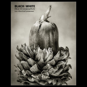 Tạp chí Nhiếp ảnh đen trắng số 311 (pdf) R130X93