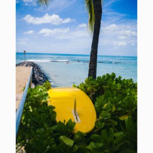 vsco reissue film 02 bo preset vsco film co dien voi kha nang chinh sua anh raw manh me 0