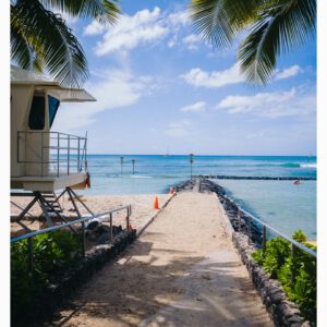 vsco reissue film 02 bo preset vsco film co dien voi kha nang chinh sua anh raw manh me 2