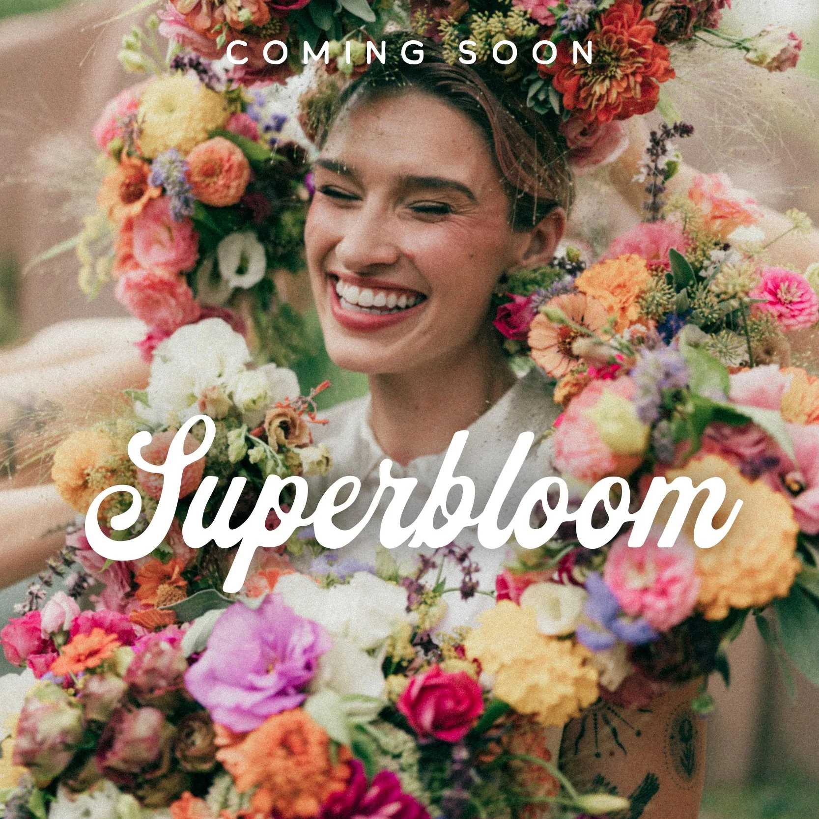 Archipelago QUEST 58 SUPERBLOOM — Bộ sưu tập Lightroom Preset sáng dịu nhẹ màu tươi mới nở rộ của mùa xuân (xmp/acr) E133X46